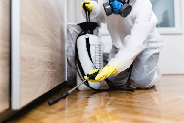 Best Affordable Pest Control Services  in Lexington, TN
