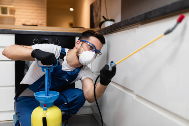Best Wasp Removal Services  in Lexington, TN