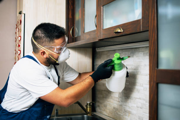 Best Best Pest Control Companies  in Lexington, TN