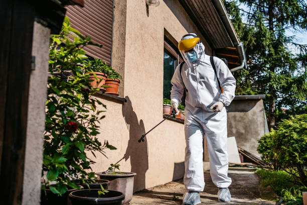 Best Mosquito Control Services  in Lexington, TN