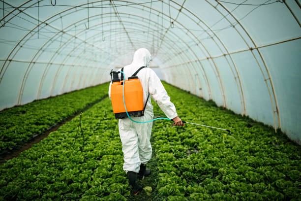 Best Affordable Pest Control Services  in Lexington, TN
