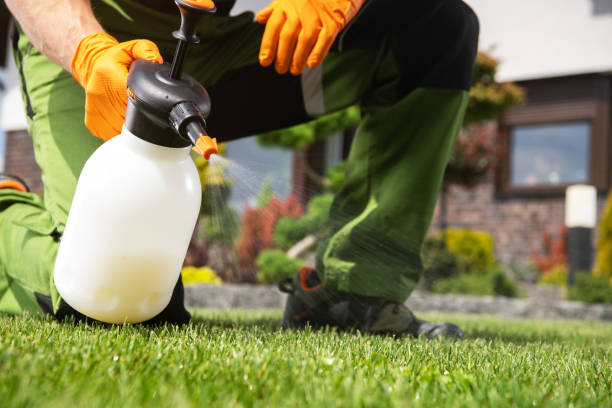 Pest Control Cost in Lexington, TN