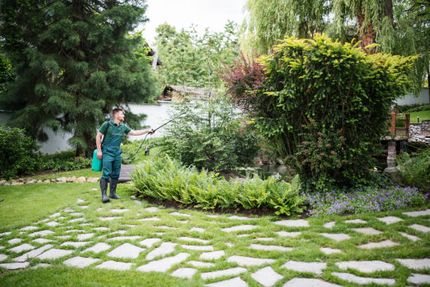 Best Ant Control Services  in Lexington, TN