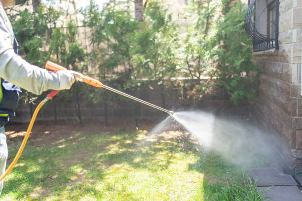 Best Termite Control Services  in Lexington, TN