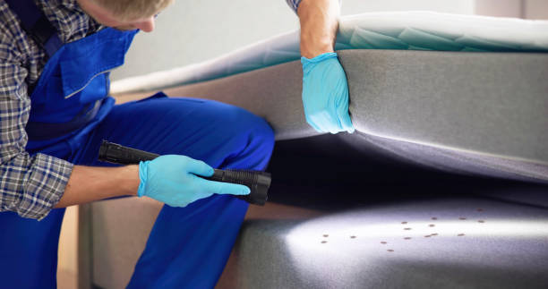 Best Pest Control Near Me  in Lexington, TN