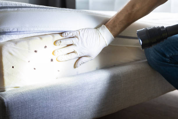 Best Best Pest Control Companies  in Lexington, TN