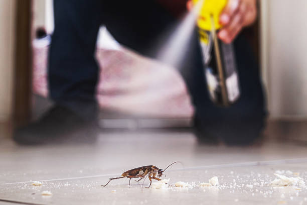  Lexington, TN Pest Control Pros