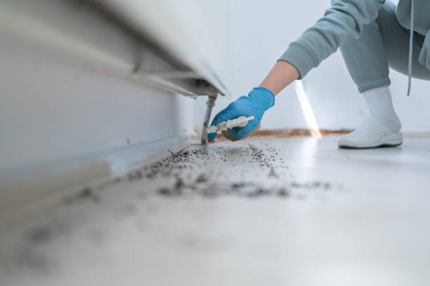 Best Pest Control for Restaurants  in Lexington, TN