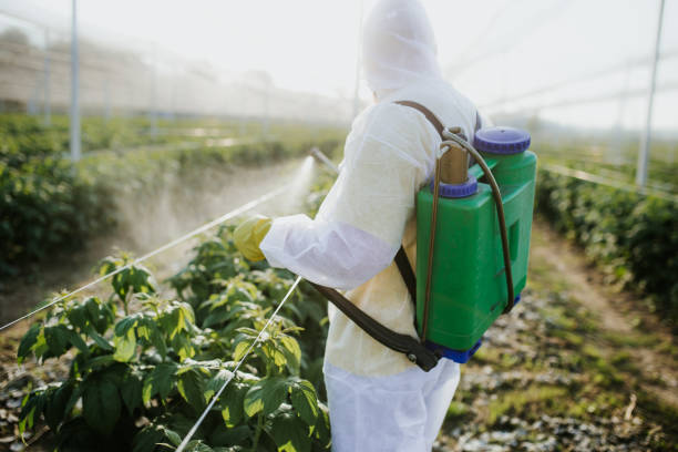 Lexington, TN Pest Control Company